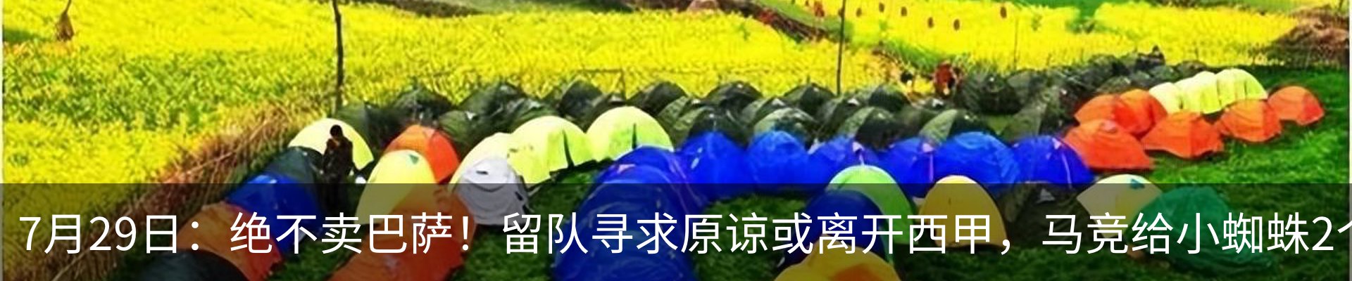 资讯动态